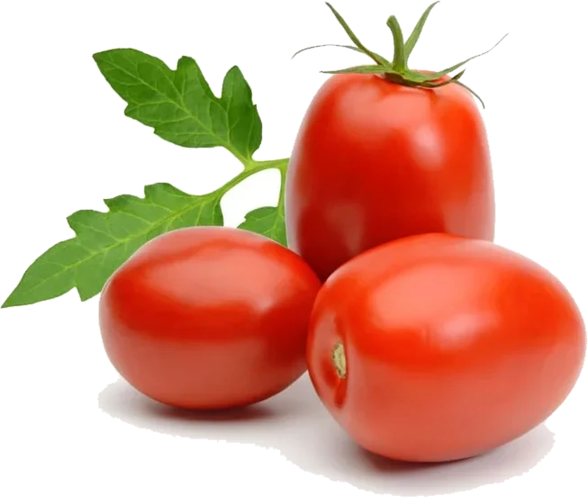 Tomate italiano (kg)